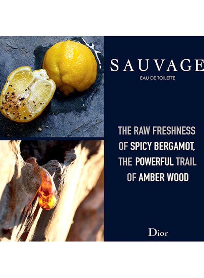 Sauvage EDT 60ml - image 5