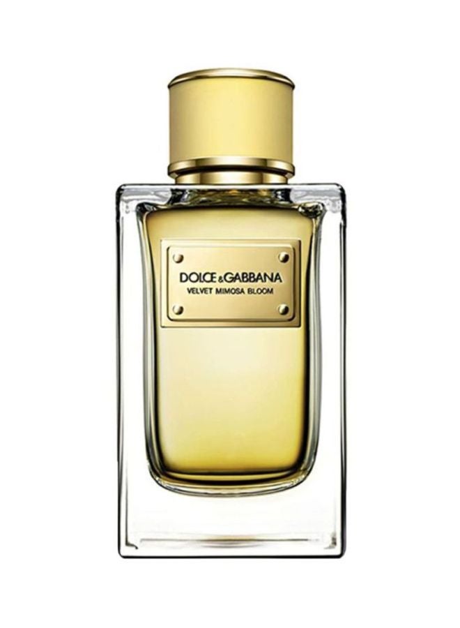 Velvet Mimosa EDP
