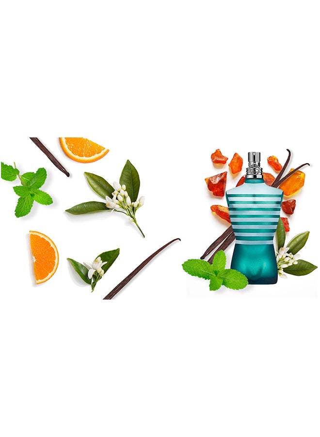 Le Male EDT 125ml - image 7