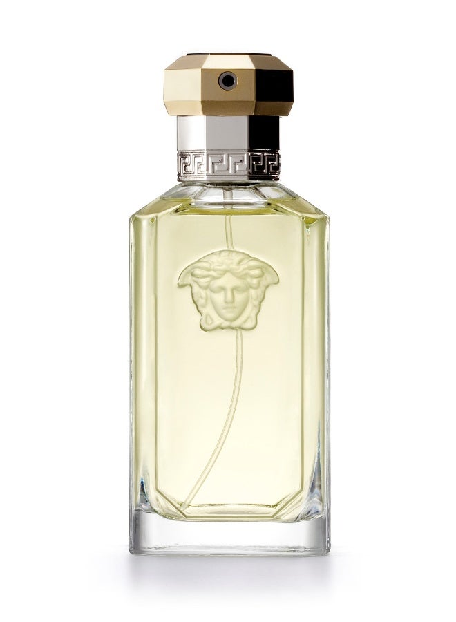 The Dreamer EDT 100ml - image 2