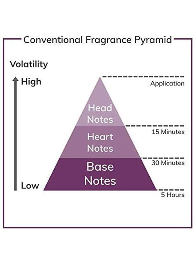 Classic EDT 100ml - image 4