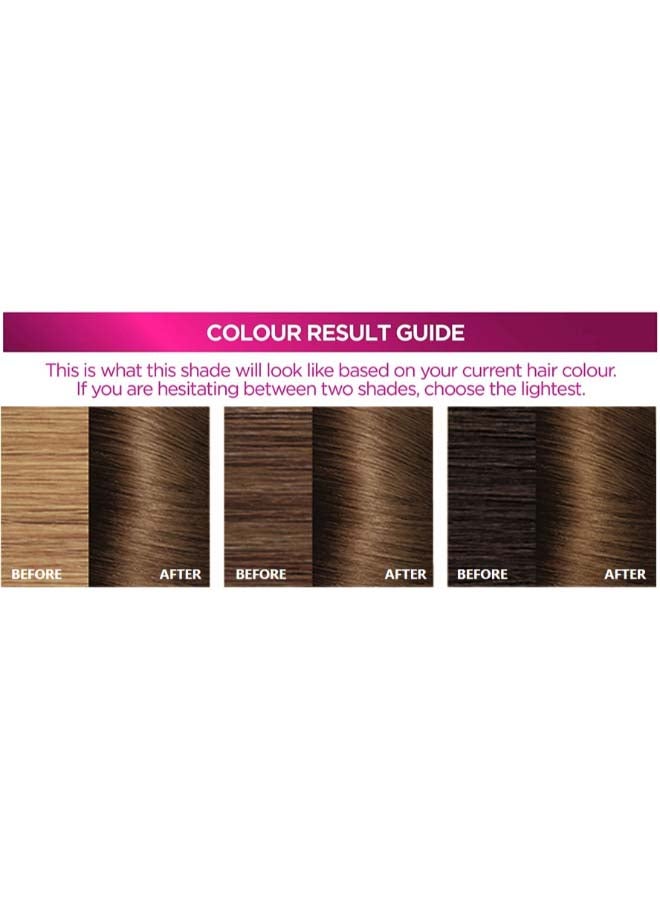 Prodigy Permanent Hair color - 5.3 5.3 Light Golden Brown - image 4