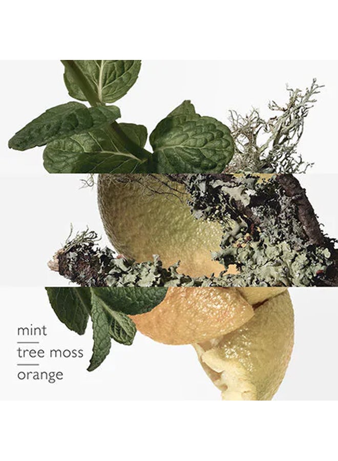 Eau D'Orange Verte EDC 100ml - image 5
