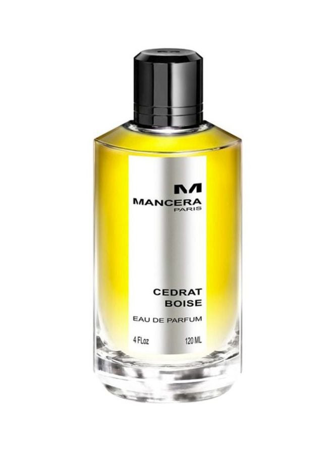 Cedrat Boise EDP 120ml