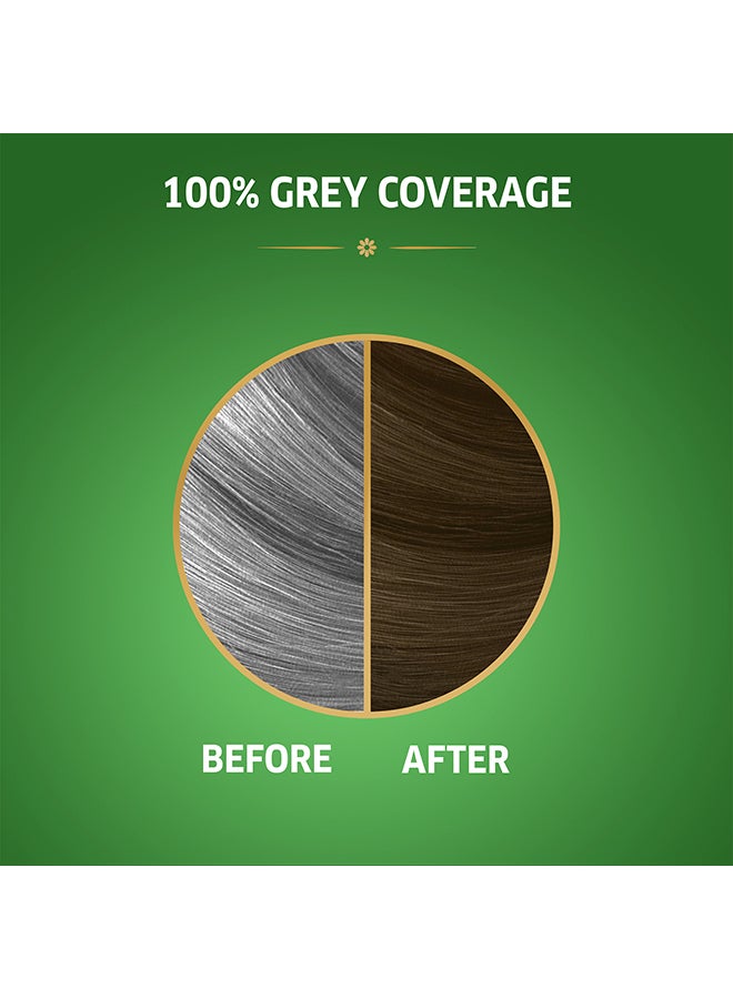 Koleston Naturals Hair Color 6/1 Dark Ash Blonde 110grams - image 3