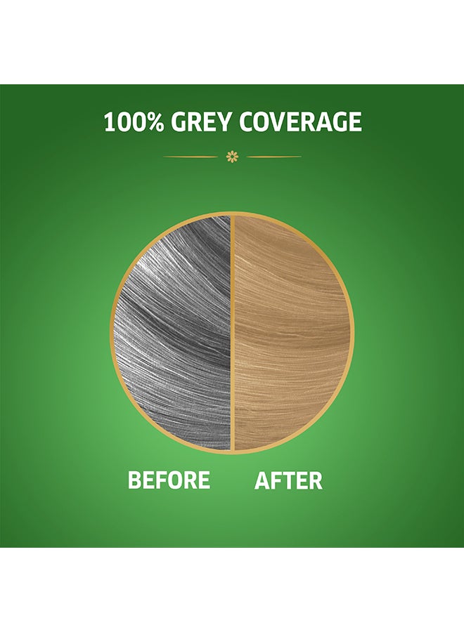 Koleston Naturals Hair Color 8/0 Light Blonde 50ml+50ml+10ml - image 3
