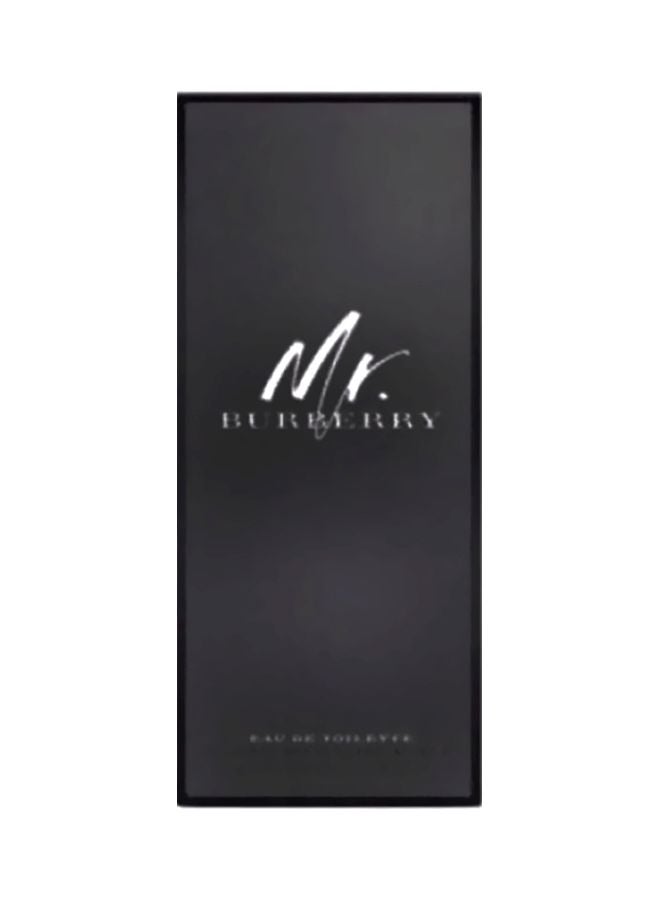 Mr.Burberry EDT 100ml - image 3