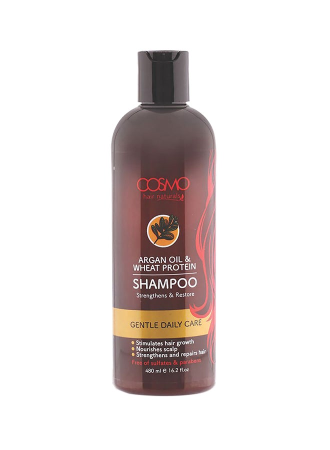 Argan Oil And Wheat Protein Gentle Daily Care Shampoo 480ml