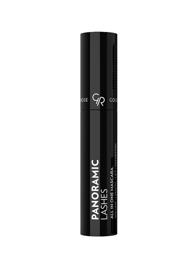 Panoramic Lashes All In One Mascara Black