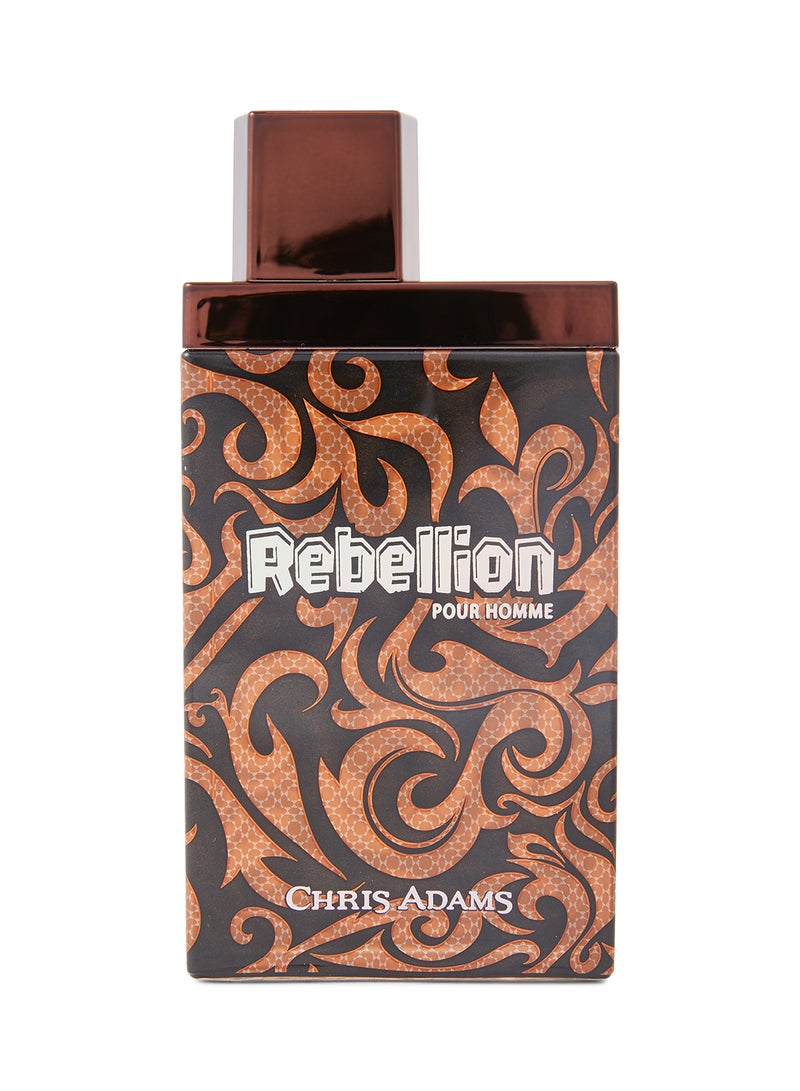 Rebellion Pour Homme EDT 100ml