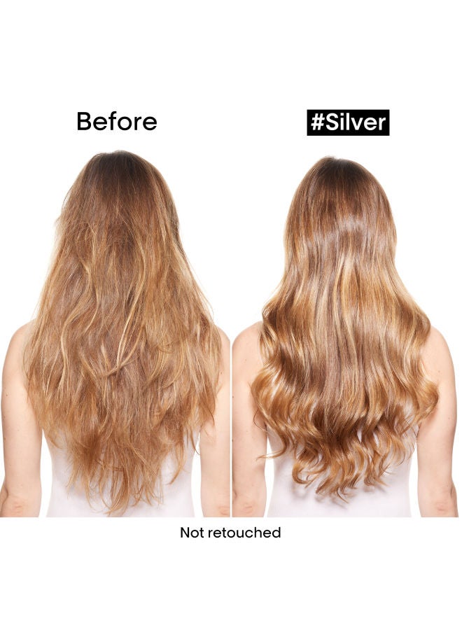 Serie Expert Silver Shampoo Silver 300ml - image 3