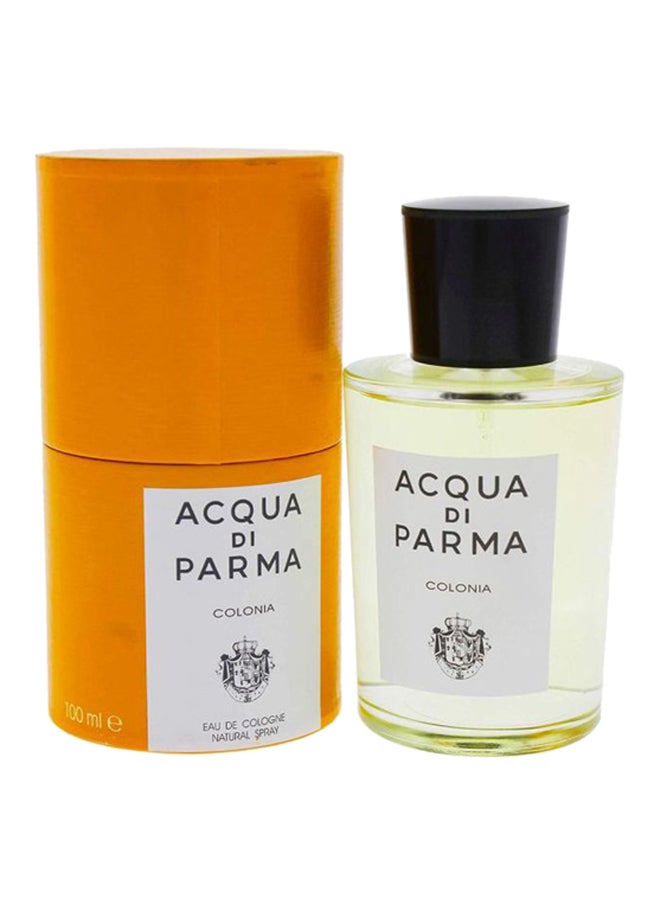 Colonia EDC 100ml - image 2