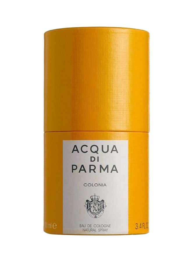 Colonia EDC 100ml - image 3
