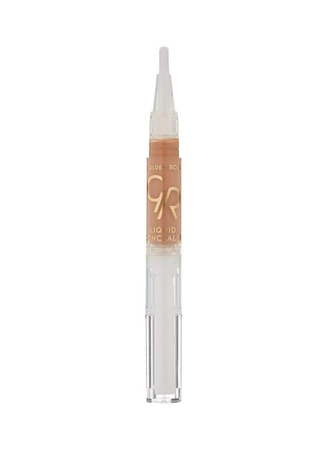 Liquid Concealer 3