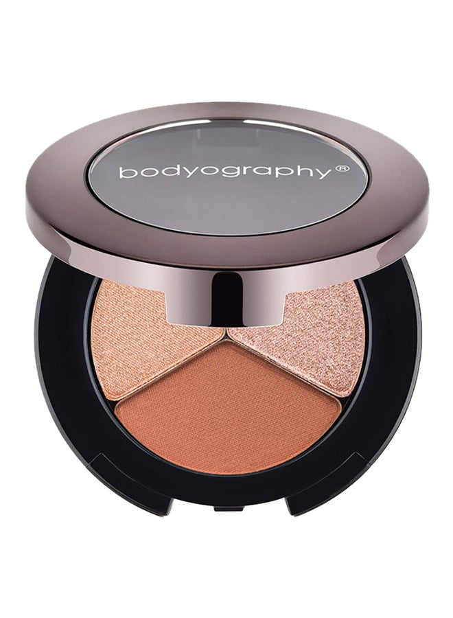 6576 Trio Expression Eye Shadow Brown Eyes Warm Brown True Gold Rose Gold
