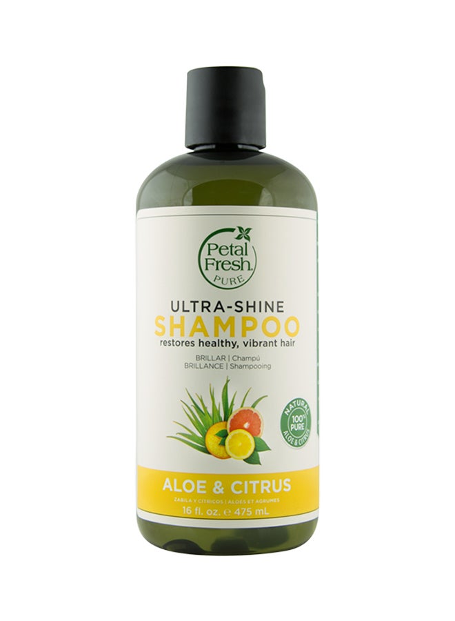 P Aloe And Citrus Shampoo