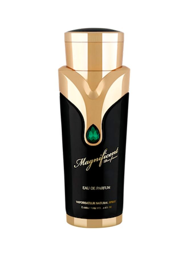 Magnificent EDP 100ml