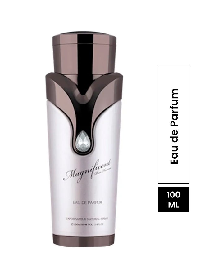Magnificent EDP 100ml