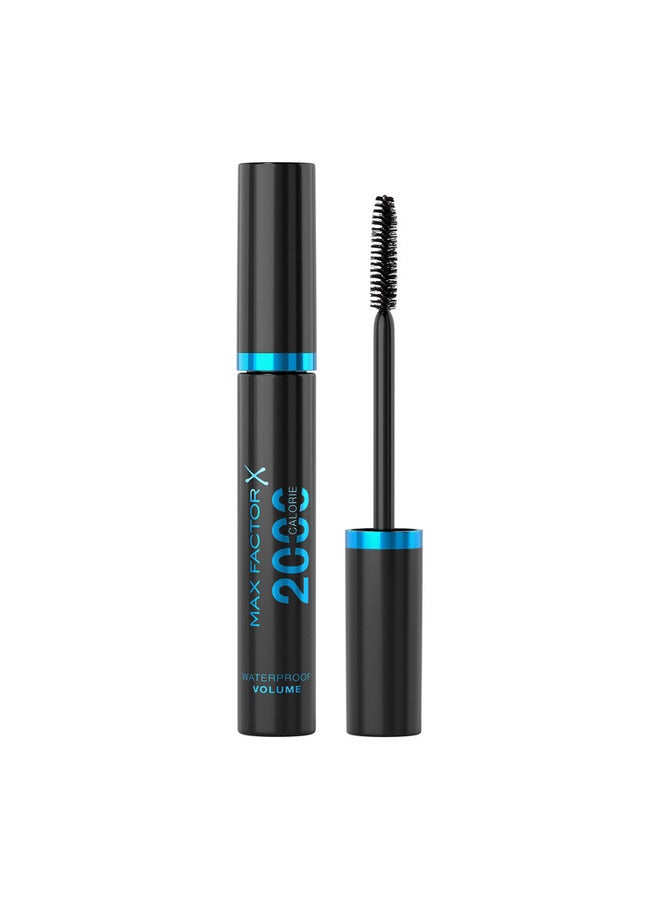 Max Factor2000 Calorie Waterproof Mascara Black1
