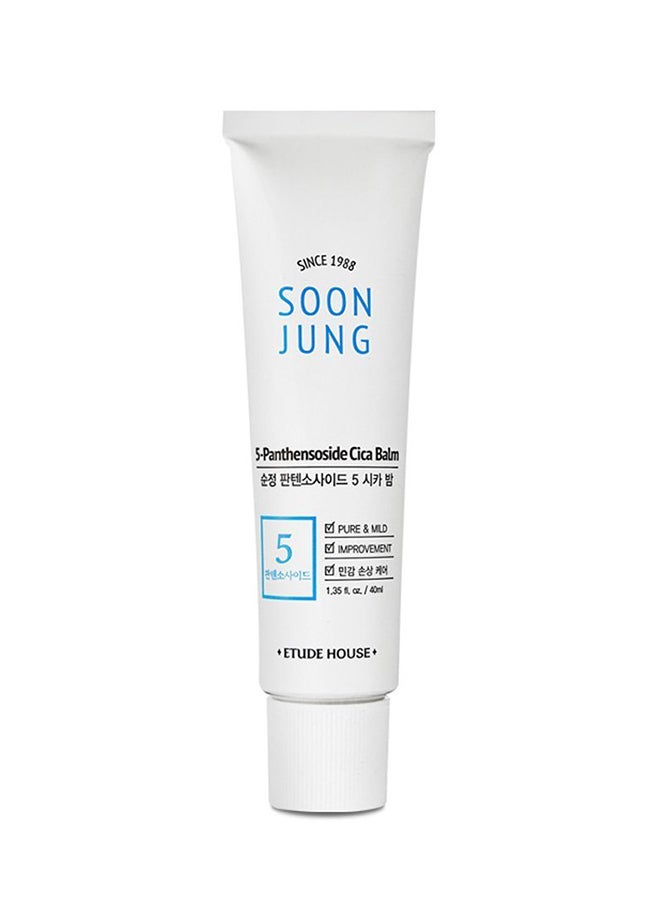 Etude House Soonjung 5-Panthensoside Cica Balm (40Ml-Regular Size)