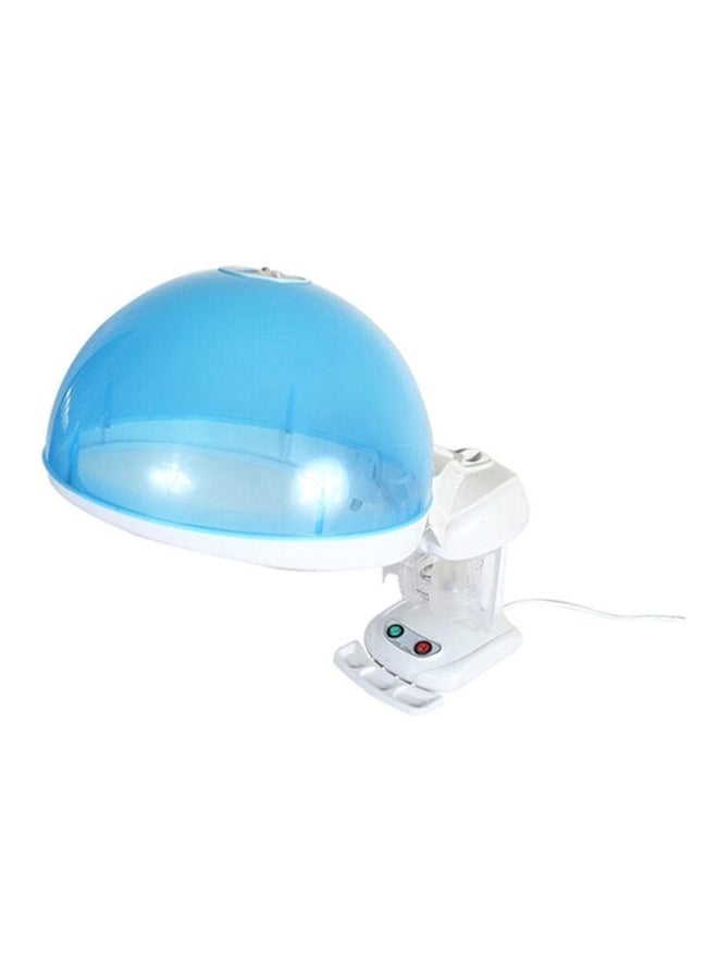 2 In 1 Face And Hair Steamer