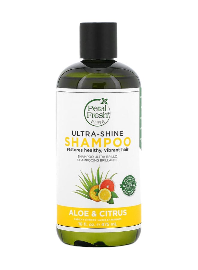 P Aloe & Citrus all Hairs Unisex Shampoo, 500 ml