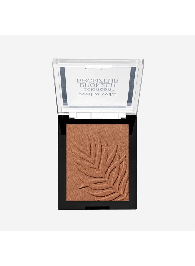 Color Icon Bronzer What Shady Beaches - image 2