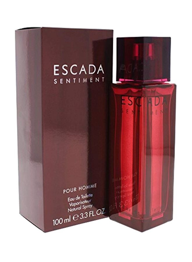 Sentiment Pour Homme EDT 100ml