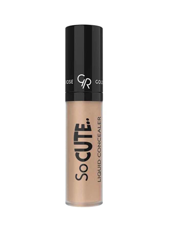 So Cute Liquid Concealer 02
