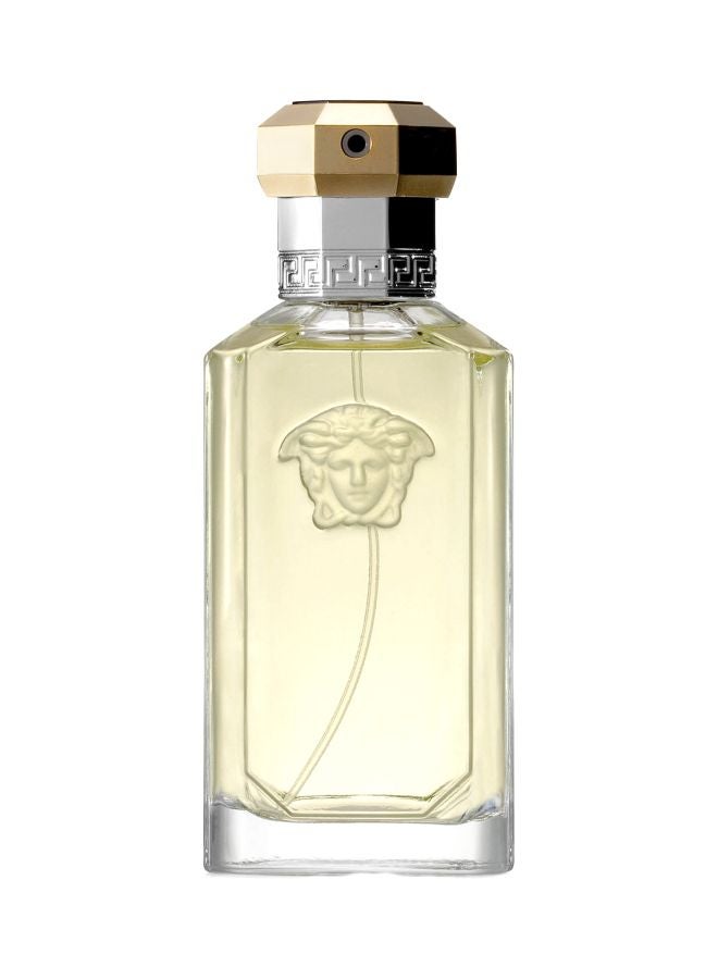 Dreamer EDT 100ml