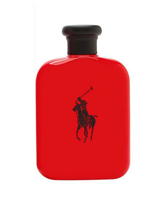 Polo EDT 125ml