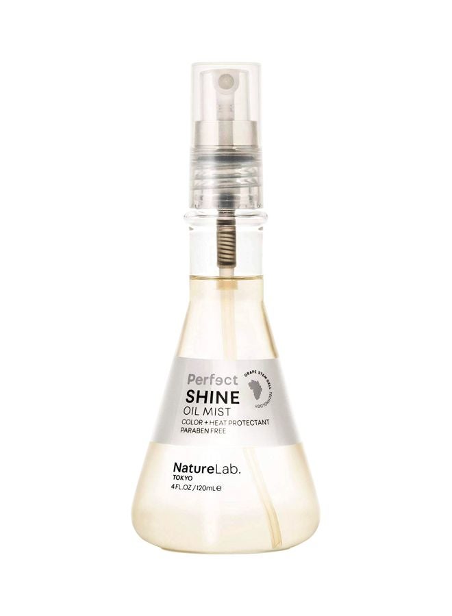 Perfect Shine Oil Mist