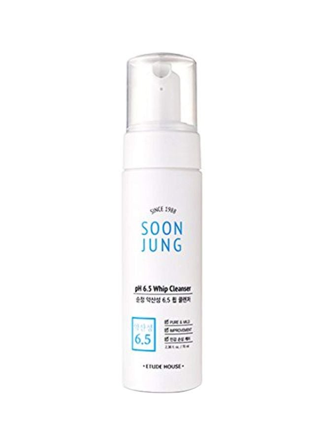 pH 6.5 Whip Cleanser 70ml