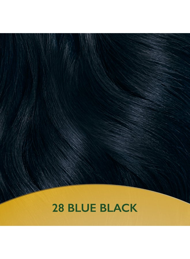 Soft Color Natural Instincts Hair Color 2/8 Blue Black - image 6
