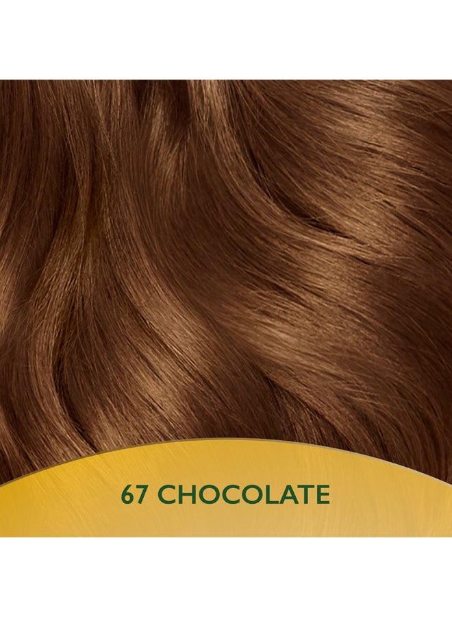 Soft Color Natural Instincts Hair Color 6/7 Chocolate - image 5