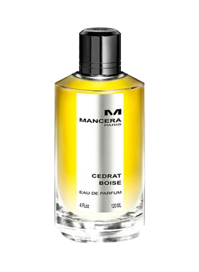 Cedrat Boise EDP 120ml