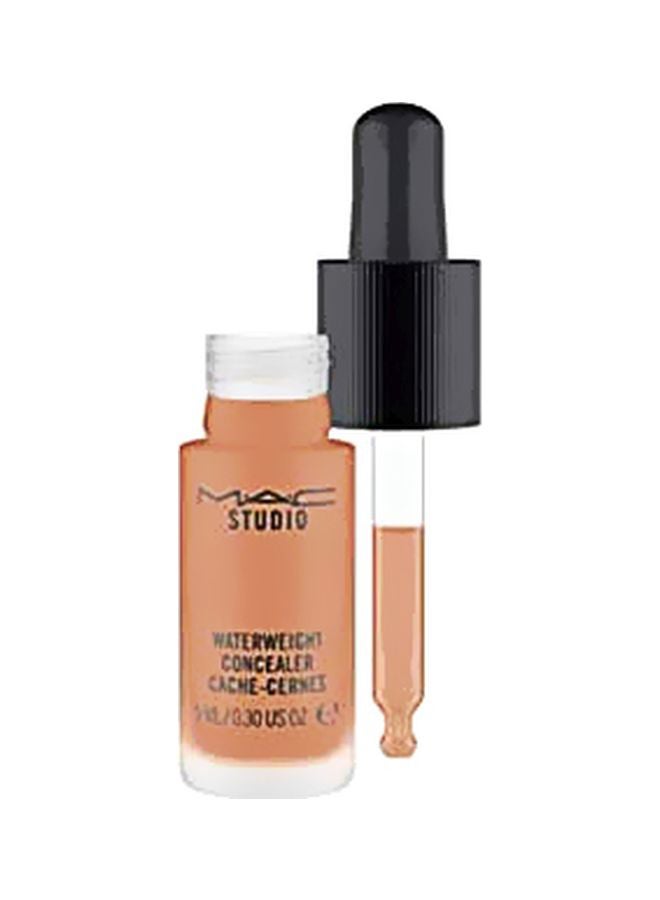 Studio Waterweight Concealer Liquid NW45 - image 2