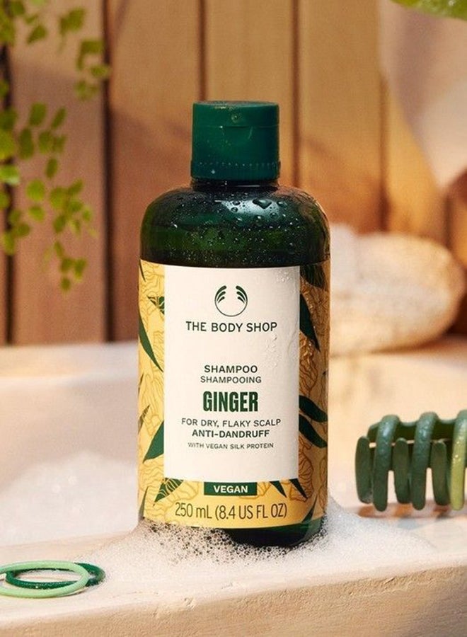 Ginger Anti Dandruff Shampoo – Refreshing Scalp Treatment with Ginger & Birch Bark Extract | Soothes Itchy Scalp, Reduces Dandruff, Strengthens Hair | Adds Moisture, Volume & Promotes Hair Growth | Dermatologically Tested 250ml - image 3