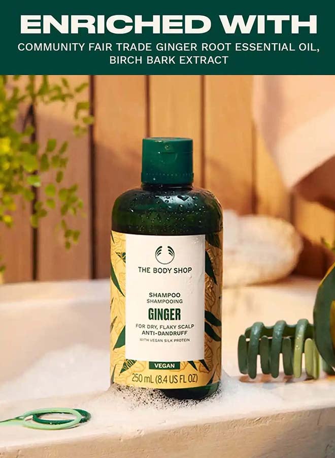 Ginger Anti Dandruff Shampoo – Refreshing Scalp Treatment with Ginger & Birch Bark Extract | Soothes Itchy Scalp, Reduces Dandruff, Strengthens Hair | Adds Moisture, Volume & Promotes Hair Growth | Dermatologically Tested 250ml - image 5