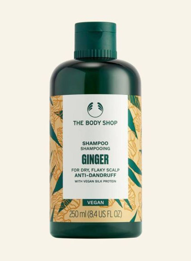 Ginger Anti Dandruff Shampoo – Refreshing Scalp Treatment with Ginger & Birch Bark Extract | Soothes Itchy Scalp, Reduces Dandruff, Strengthens Hair | Adds Moisture, Volume & Promotes Hair Growth | Dermatologically Tested 250ml