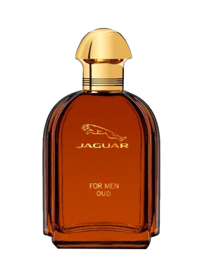 Oud EDP 100ml
