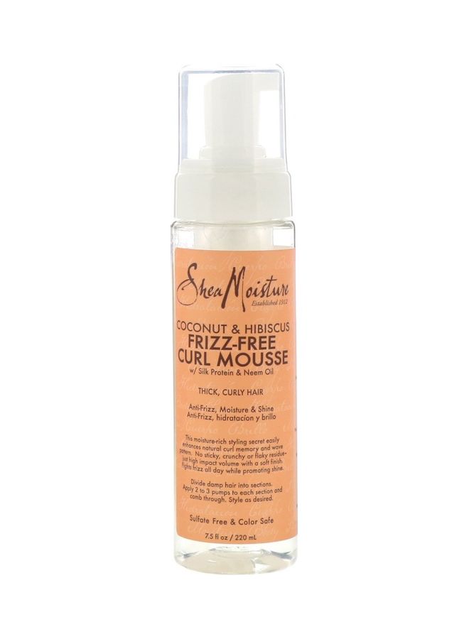 Frizz-Free Curl Mousse 220ml