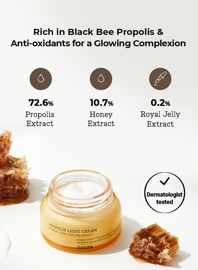 Full Fit Propolis Light Cream 65ml - image 2