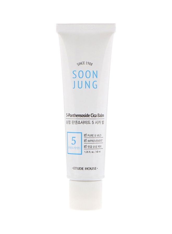 Soon Jung 5-Panthensoside Cica Balm 40ml