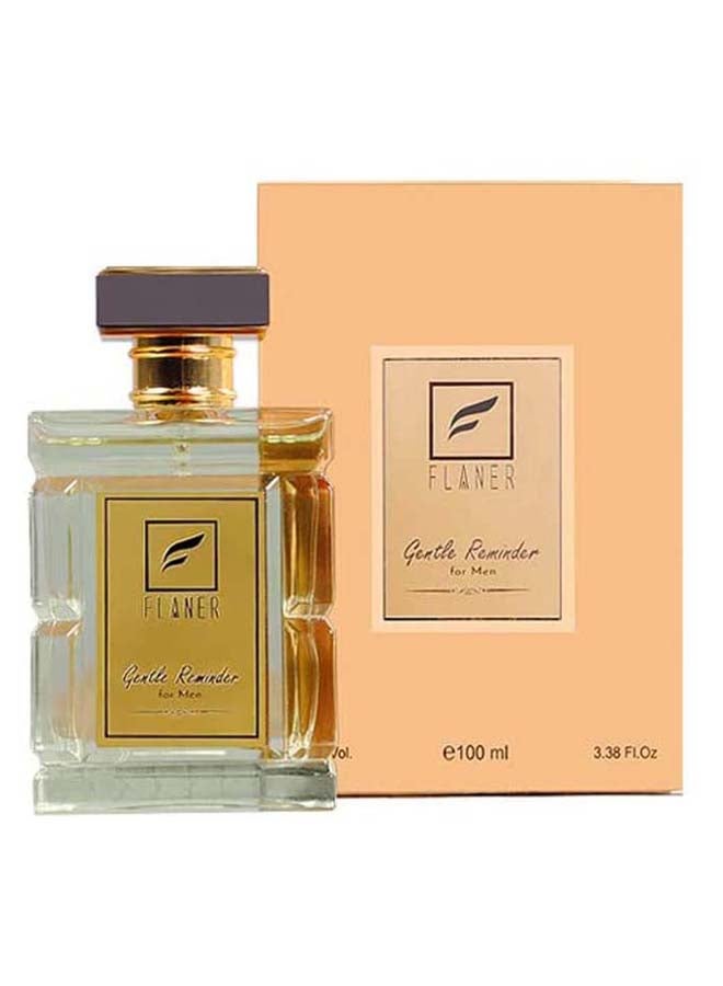 Gentle Reminder EDP 100ml
