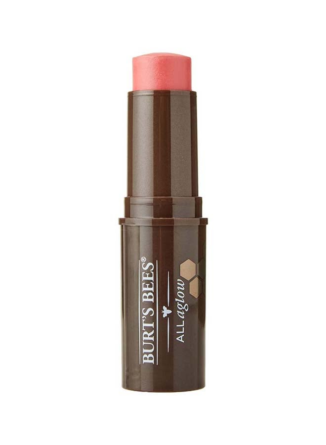 All Aglow Lip & Cheek Stick Blush Bay