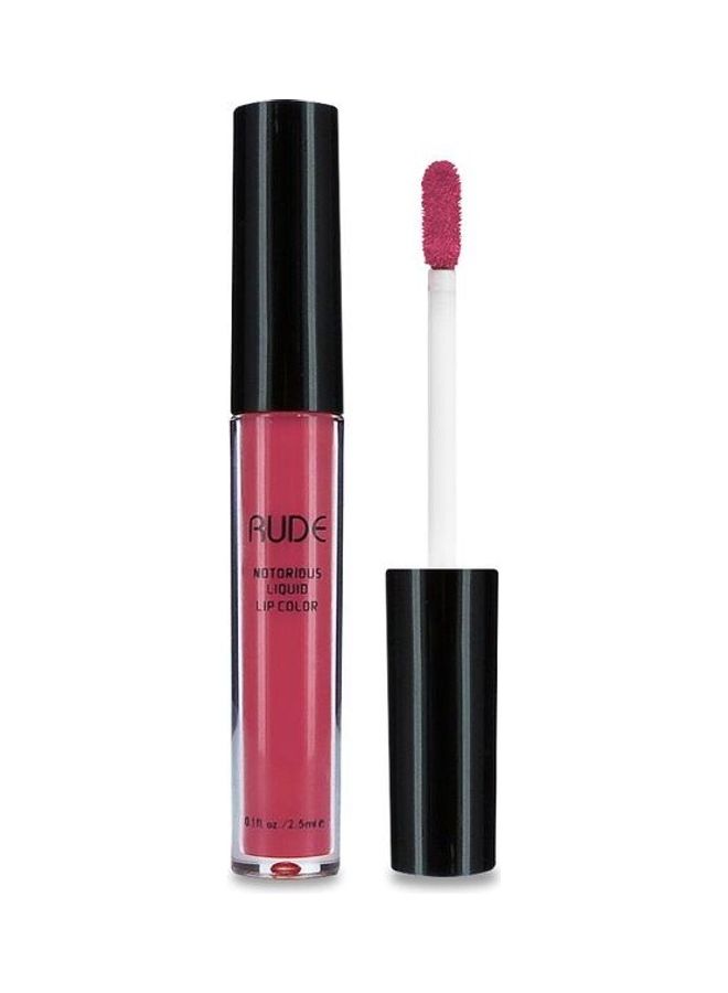 Notorious Liquid Lip Color Destructive Behavior Pink