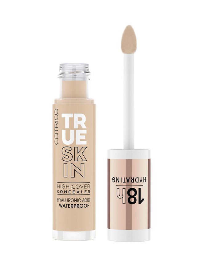 True Skin High Cover Concealer 020 Warm Beige - image 2
