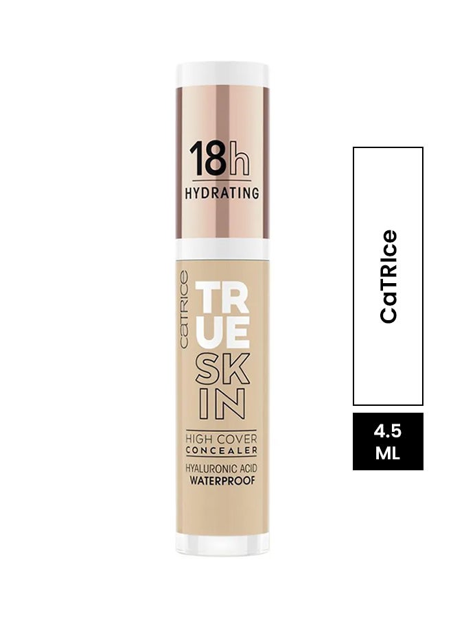 True Skin High Cover Concealer 032 Neutral Biscuit
