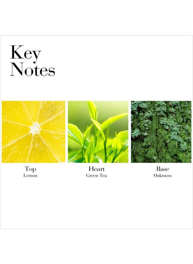 Green Tea Snt Sp 100ml - image 2